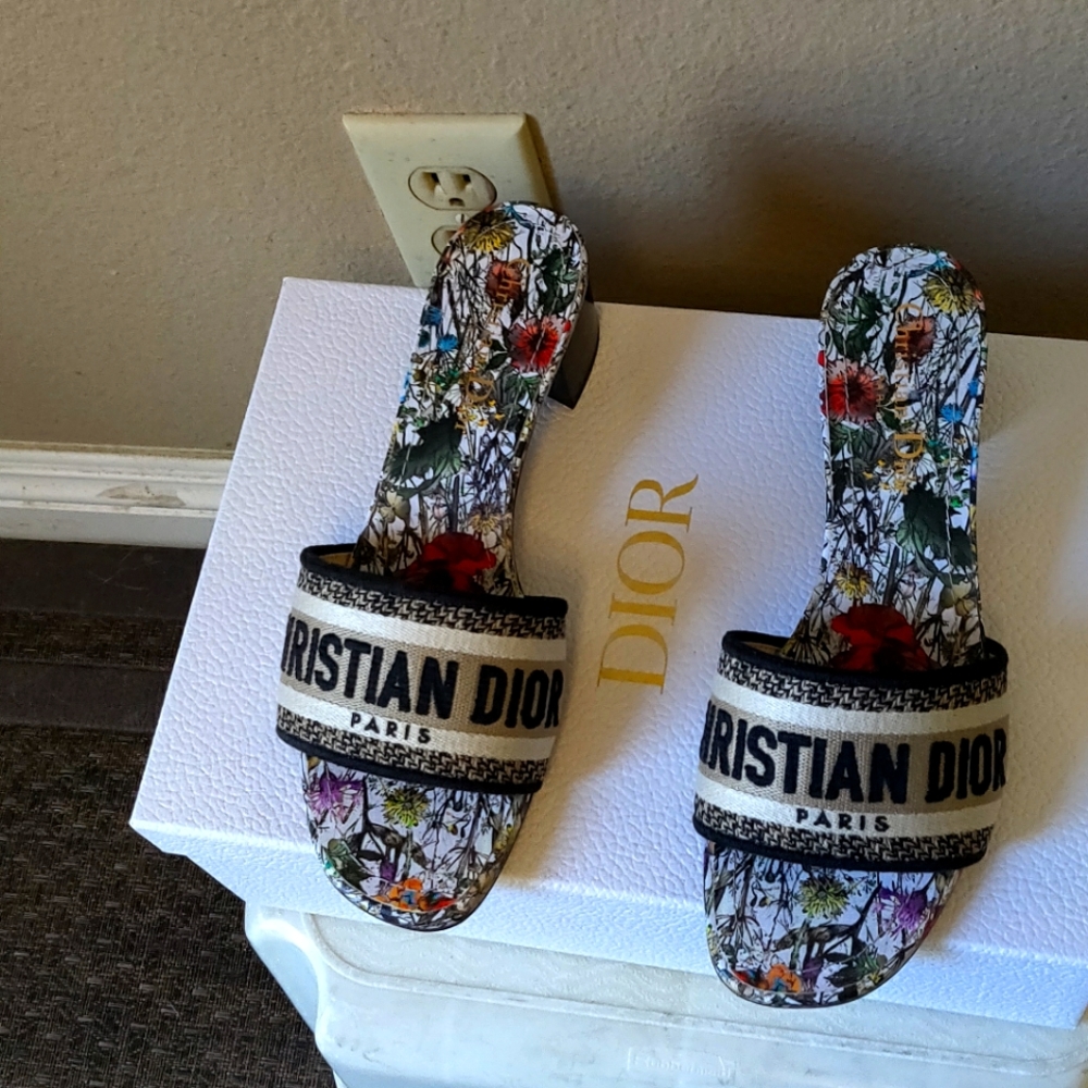Dior DWay helled slide